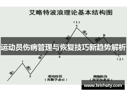 运动员伤病管理与恢复技巧新趋势解析